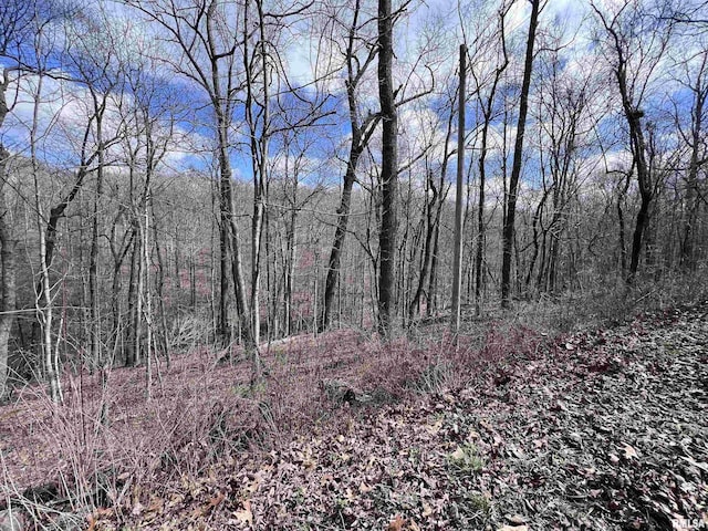 00 Deer Ridge Rd, Goreville, IL 62939