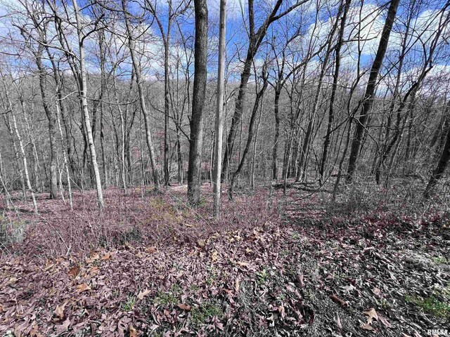 00 Deer Ridge Rd, Goreville, IL 62939