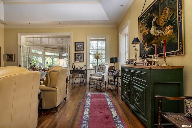 sitting room with dark wood-style flooring, ornamental molding, and a raised ceiling