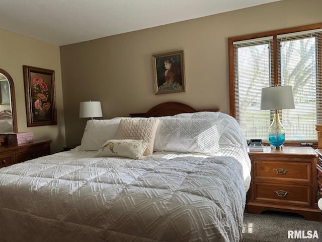 3 Suburban Dr, Murphysboro, IL 62966 - view of carpeted bedroom