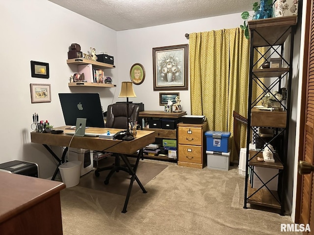 3 Suburban Dr, Murphysboro, IL 62966 - office featuring carpet flooring and a textured ceiling