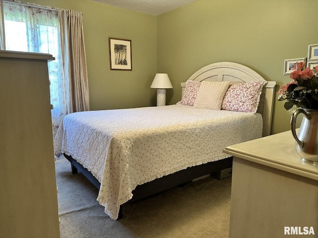 3 Suburban Dr, Murphysboro, IL 62966 - view of carpeted bedroom