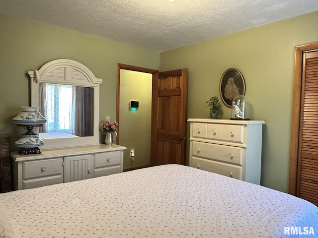 3 Suburban Dr, Murphysboro, IL 62966 - bedroom with a closet and a textured ceiling