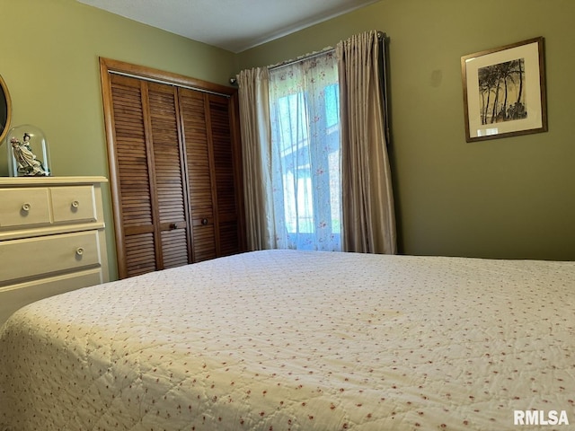 3 Suburban Dr, Murphysboro, IL 62966 - bedroom featuring a closet