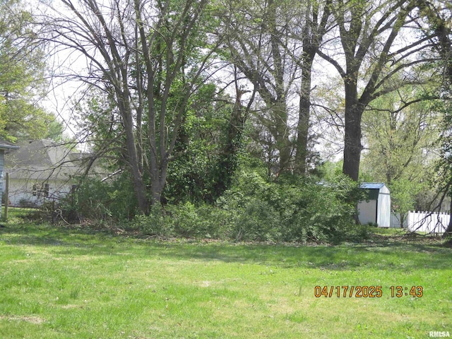 205 Texas St, Carterville, IL 62918 - view of yard with an outdoor structure and a shed