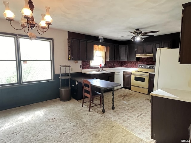 kitchen with a sink, tasteful backsplash, ceiling fan with notable chandelier, white appliances, and under cabinet range hood