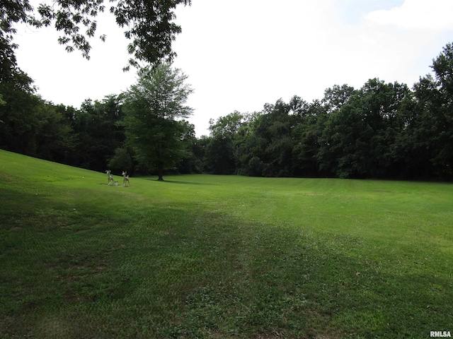 1253 County Road 800 E, Carmi, IL 62821 - photo 43