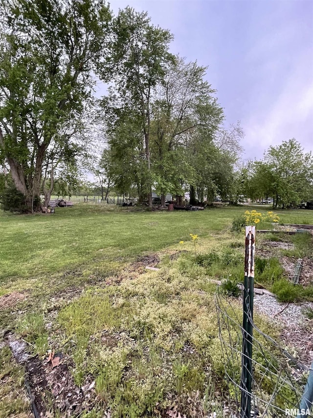 15 Lincoln St, Stonefort, IL 62987 - view of yard