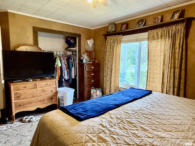 8806 Unionville Rd, Brookport, IL 62910 - bedroom featuring a closet, ornamental molding, and a spacious closet