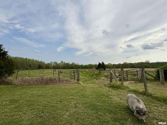 8806 Unionville Rd, Brookport, IL 62910 - view of yard featuring fence and a rural view