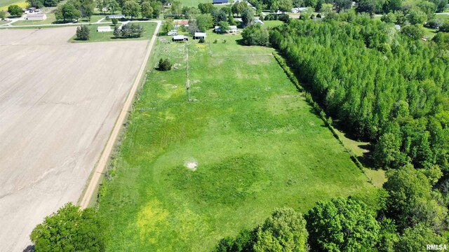 8806 Unionville Rd, Brookport, IL 62910 - birds eye view of property