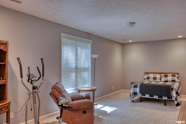 11 Glasford Rd, Murphysboro, IL 62966 - photo 24