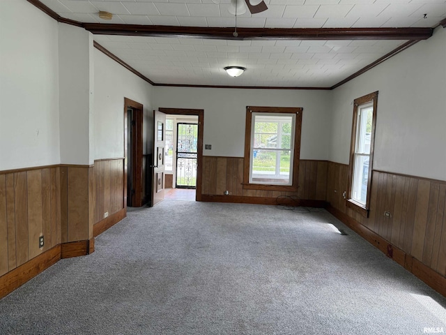 531 N Bush Ave, Hurst, IL 62949 - unfurnished room with a wainscoted wall, wood walls, carpet, and ornamental molding