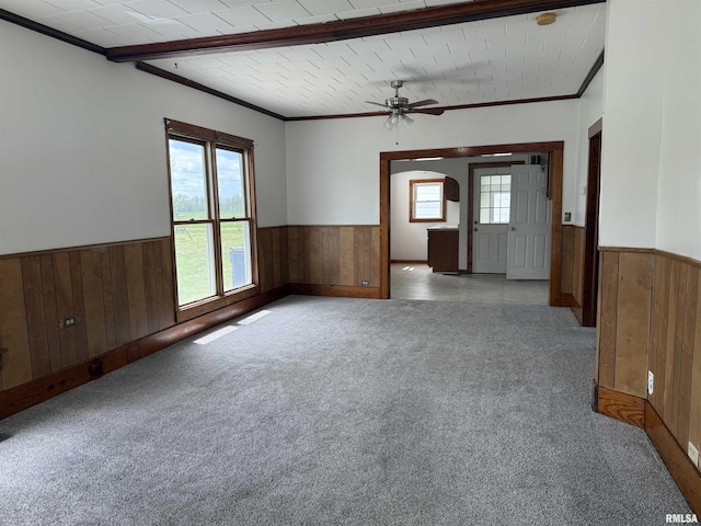 531 N Bush Ave, Hurst, IL 62949 - carpeted empty room featuring wainscoting, wood walls, and crown molding