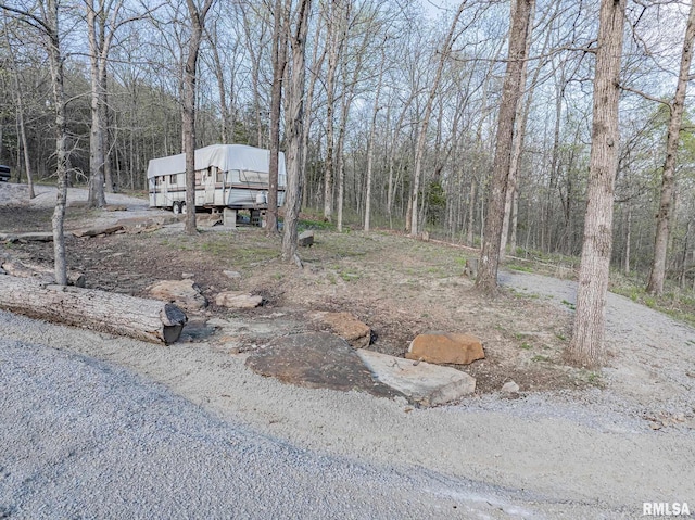 565 Dutton Chapel Rd, Golconda, IL 62938 - view of yard with a view of trees