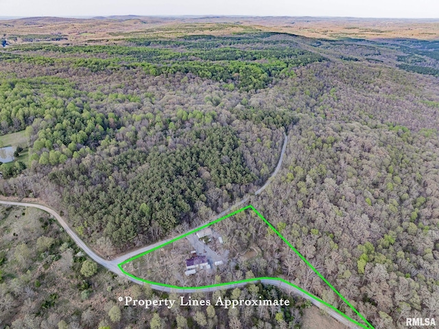 565 Dutton Chapel Rd, Golconda, IL 62938 - drone / aerial view with a wooded view