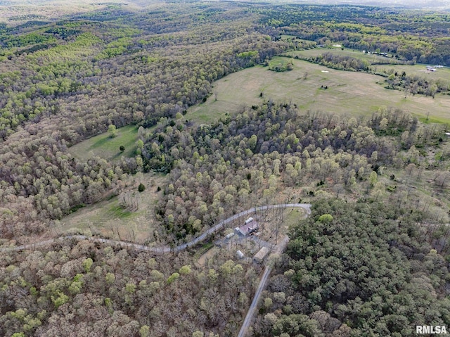 565 Dutton Chapel Rd, Golconda, IL 62938 - birds eye view of property featuring a forest view