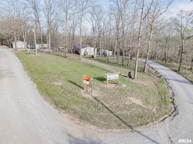 565 Dutton Chapel Rd, Golconda, IL 62938 - view of street