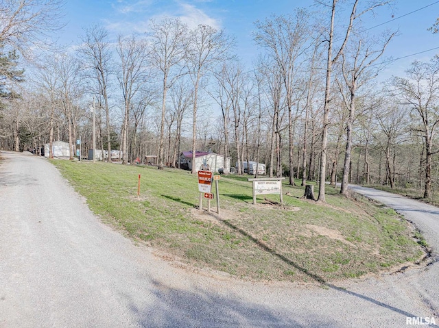 565 Dutton Chapel Rd, Golconda, IL 62938 - view of street