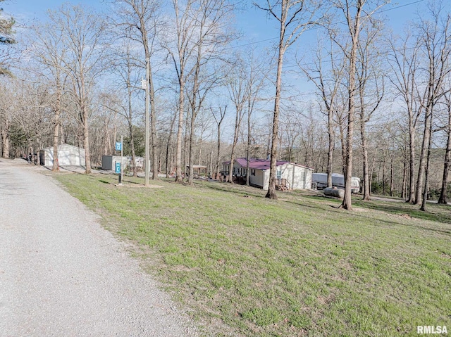 565 Dutton Chapel Rd, Golconda, IL 62938 - exterior space featuring a front lawn, an outbuilding, and a shed