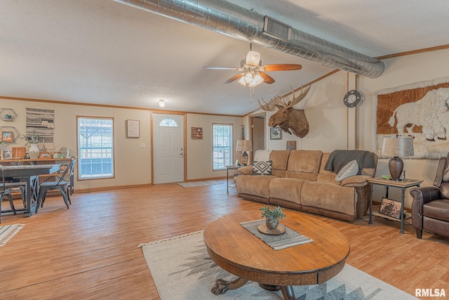 565 Dutton Chapel Rd, Golconda, IL 62938 - living room featuring a ceiling fan, crown molding, light wood-style floors, and a textured ceiling