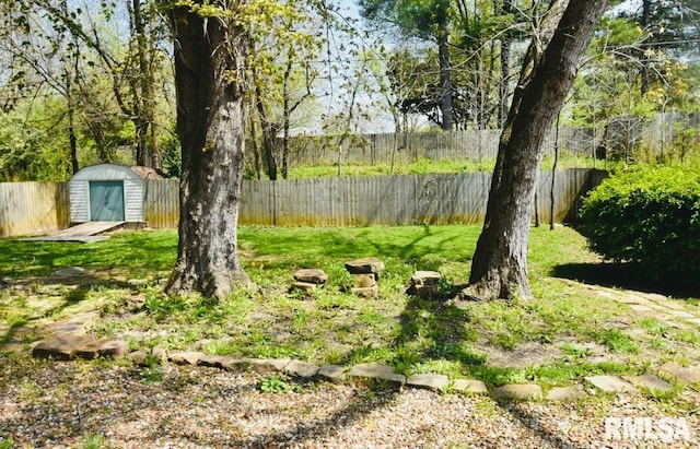 1001 S Emerald Ln, Carbondale, IL 62901 - view of yard featuring a fenced backyard, an outdoor structure, and a storage unit