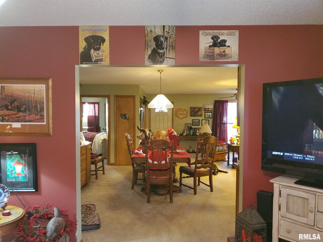 living room with ceiling fan and carpet