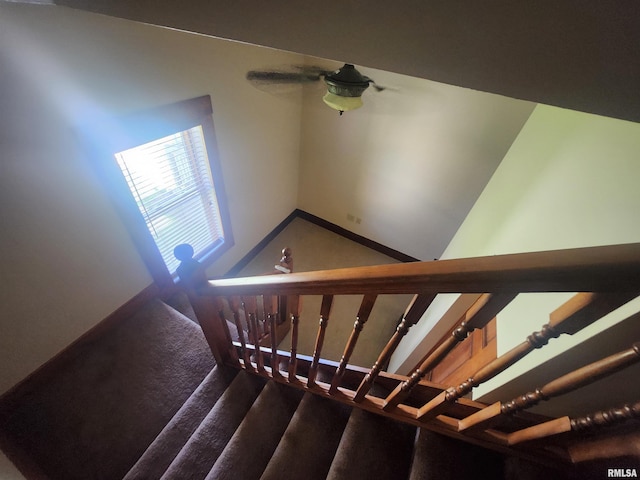 staircase with carpet