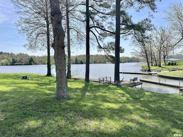 3274 Everglade Ln, Centralia, IL 62801 - photo 77