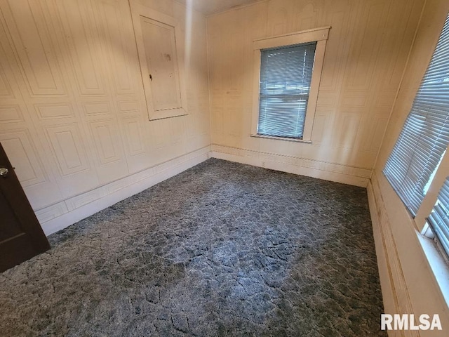 unfurnished room featuring a wealth of natural light and carpet flooring