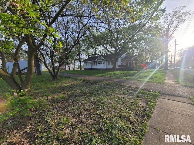 view of yard