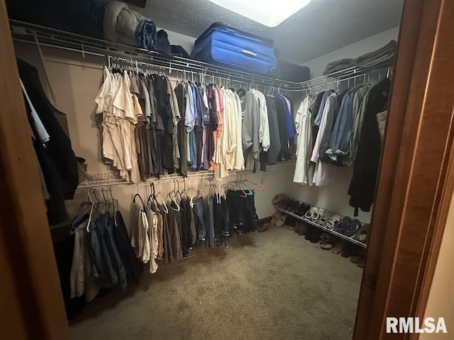 walk in closet with carpet flooring