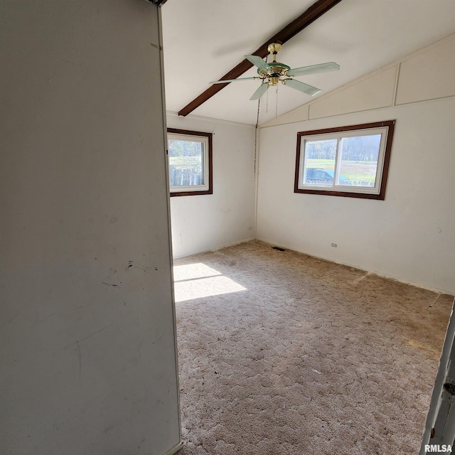 unfurnished room featuring vaulted ceiling with beams, a healthy amount of sunlight, carpet, and ceiling fan