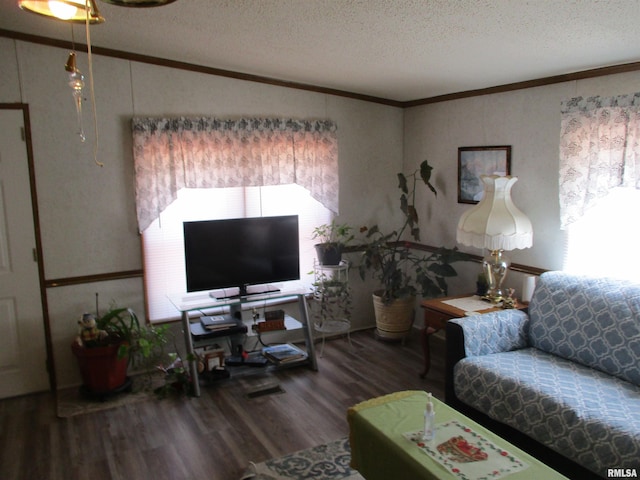 living room featuring a textured ceiling, wood finished floors, and crown molding