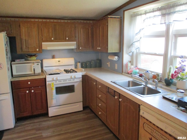 kitchen featuring ventilation hood, white appliances, light countertops, and a sink