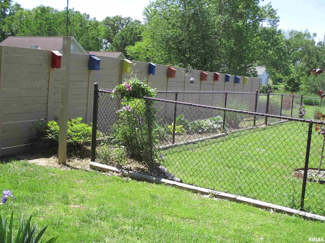 1607 Marion St, Carterville, IL 62918 - view of yard
