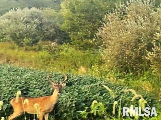 0000 Campbells Corner Rd, Mcleansboro, IL 62859 - photo 1