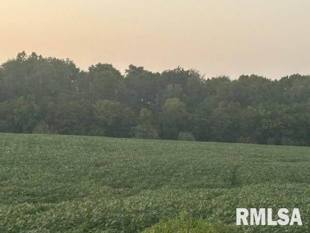 0000 Campbells Corner Rd, Mcleansboro, IL 62859 - photo 6