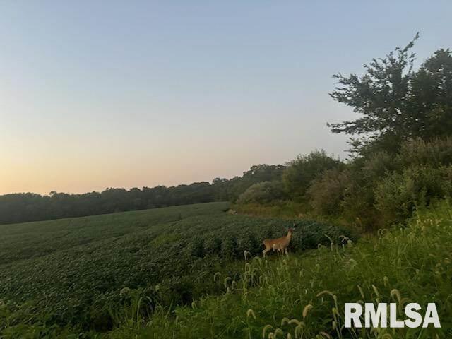 0000 Campbells Corner Rd, Mcleansboro, IL 62859 - photo 7