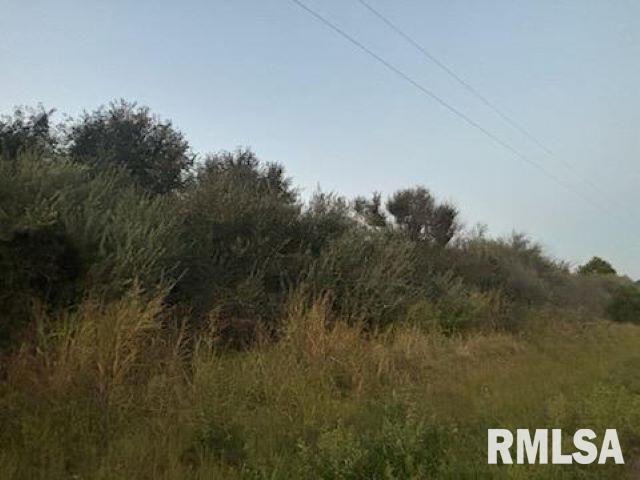 0000 Campbells Corner Rd, Mcleansboro, IL 62859 - photo 8
