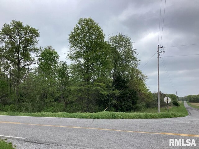 0000 Campbells Corner Rd, Mcleansboro, IL 62859 - photo 10