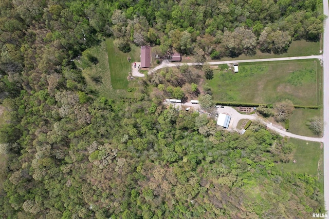 drone / aerial view