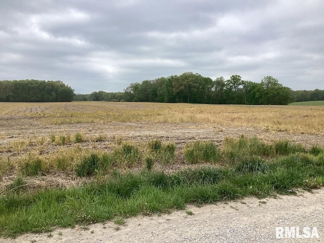 0 County Road 90n, Mcleansboro, IL 62859 - photo 4