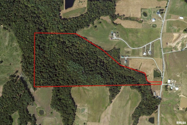 705 Webb Town Rd, Tunnel Hill, IL 62972 - photo 1