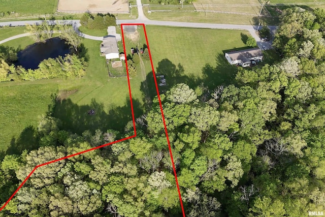 705 Webb Town Rd, Tunnel Hill, IL 62972 - photo 2