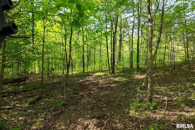 705 Webb Town Rd, Tunnel Hill, IL 62972 - photo 13