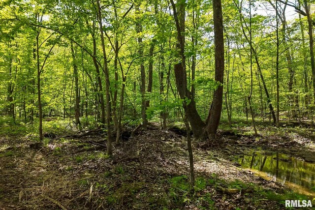 705 Webb Town Rd, Tunnel Hill, IL 62972 - photo 14