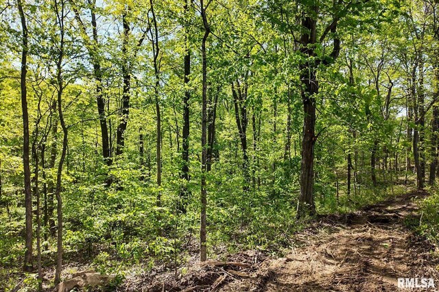 705 Webb Town Rd, Tunnel Hill, IL 62972 - photo 17