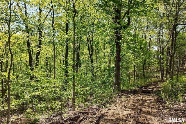 705 Webb Town Rd, Tunnel Hill, IL 62972 - photo 18