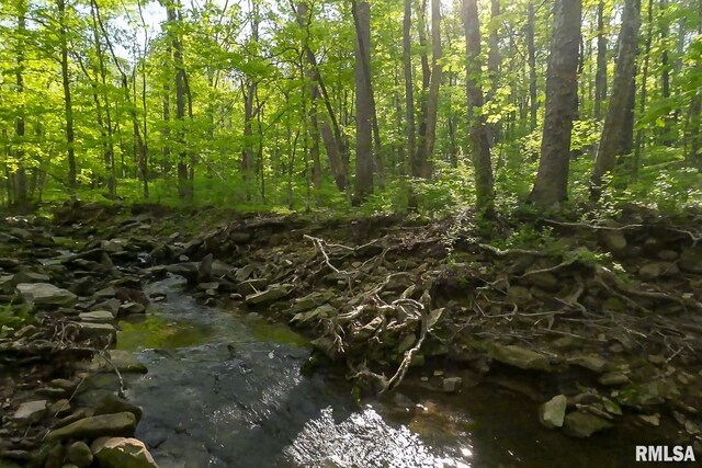 705 Webb Town Rd, Tunnel Hill, IL 62972 - photo 26